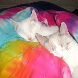 Meet your Posher, Tom